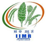 Indian Institute of Millets Research icon